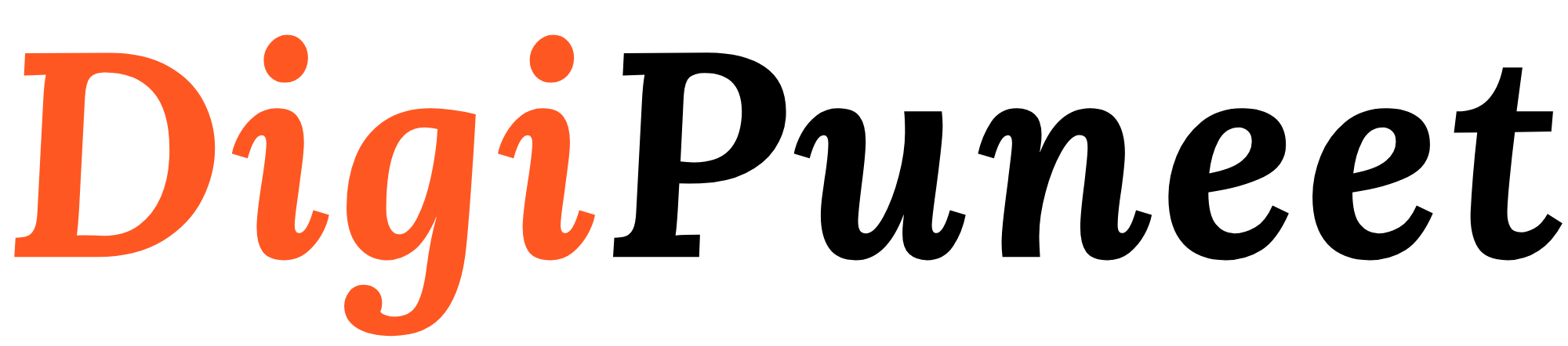 website logo DIGI PUNEET